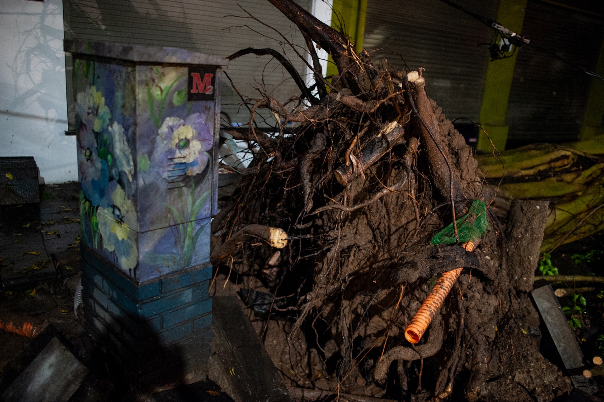 Mua giong o Ha Noi anh 5