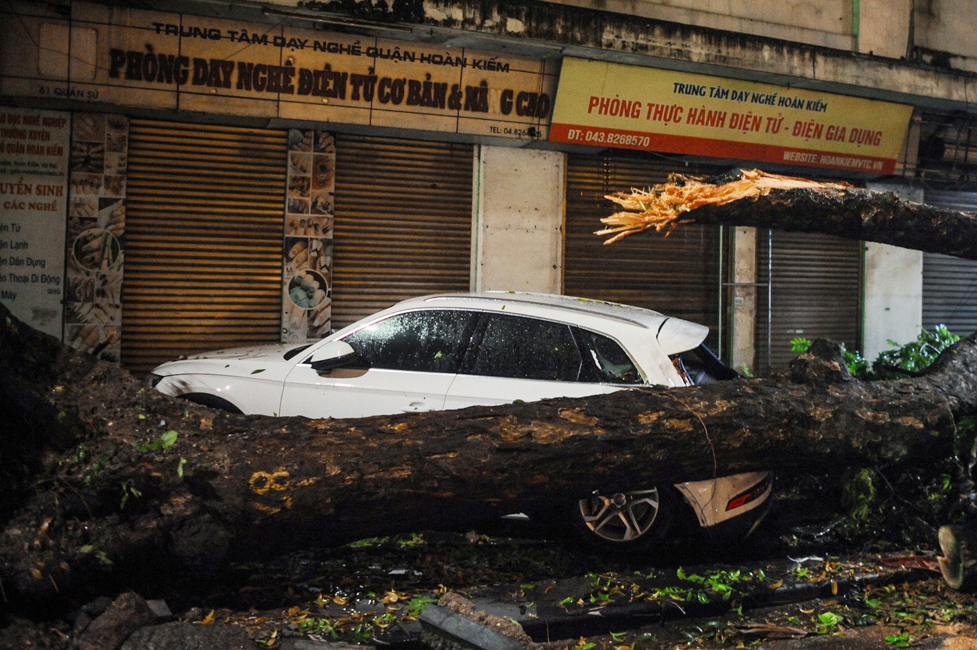 Cay do de len xe sang sau con mua dong lon o Ha Noi hinh anh