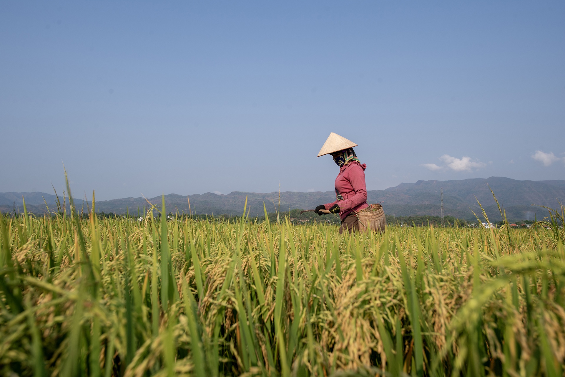 Chien thang Dien Bien Phu anh 63