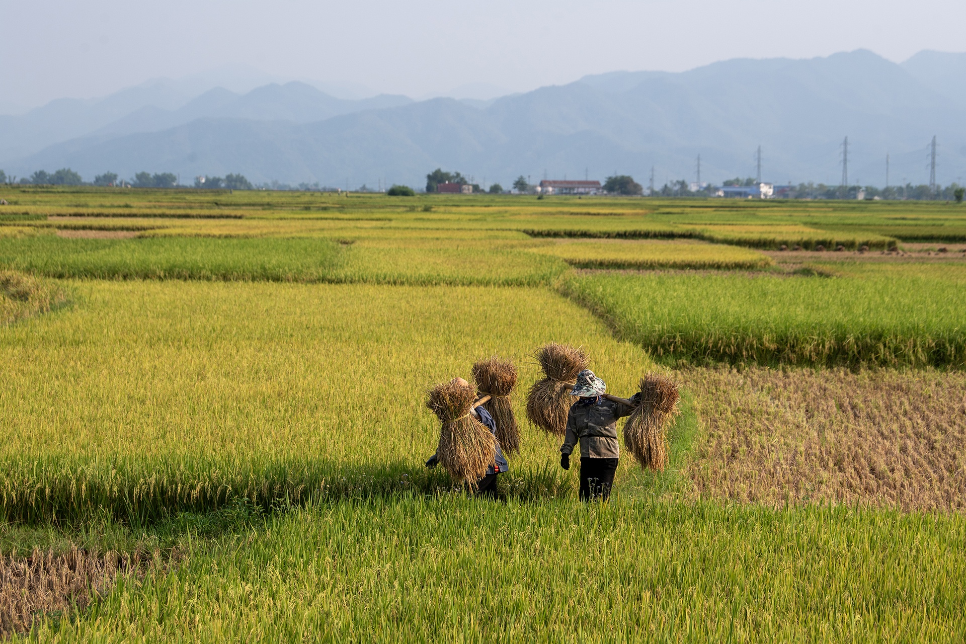 Chien thang Dien Bien Phu anh 64