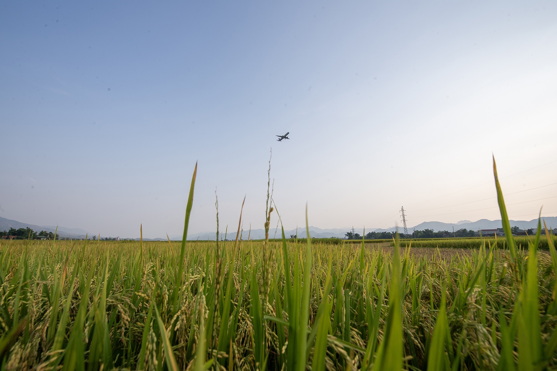 Chien thang Dien Bien Phu anh 65