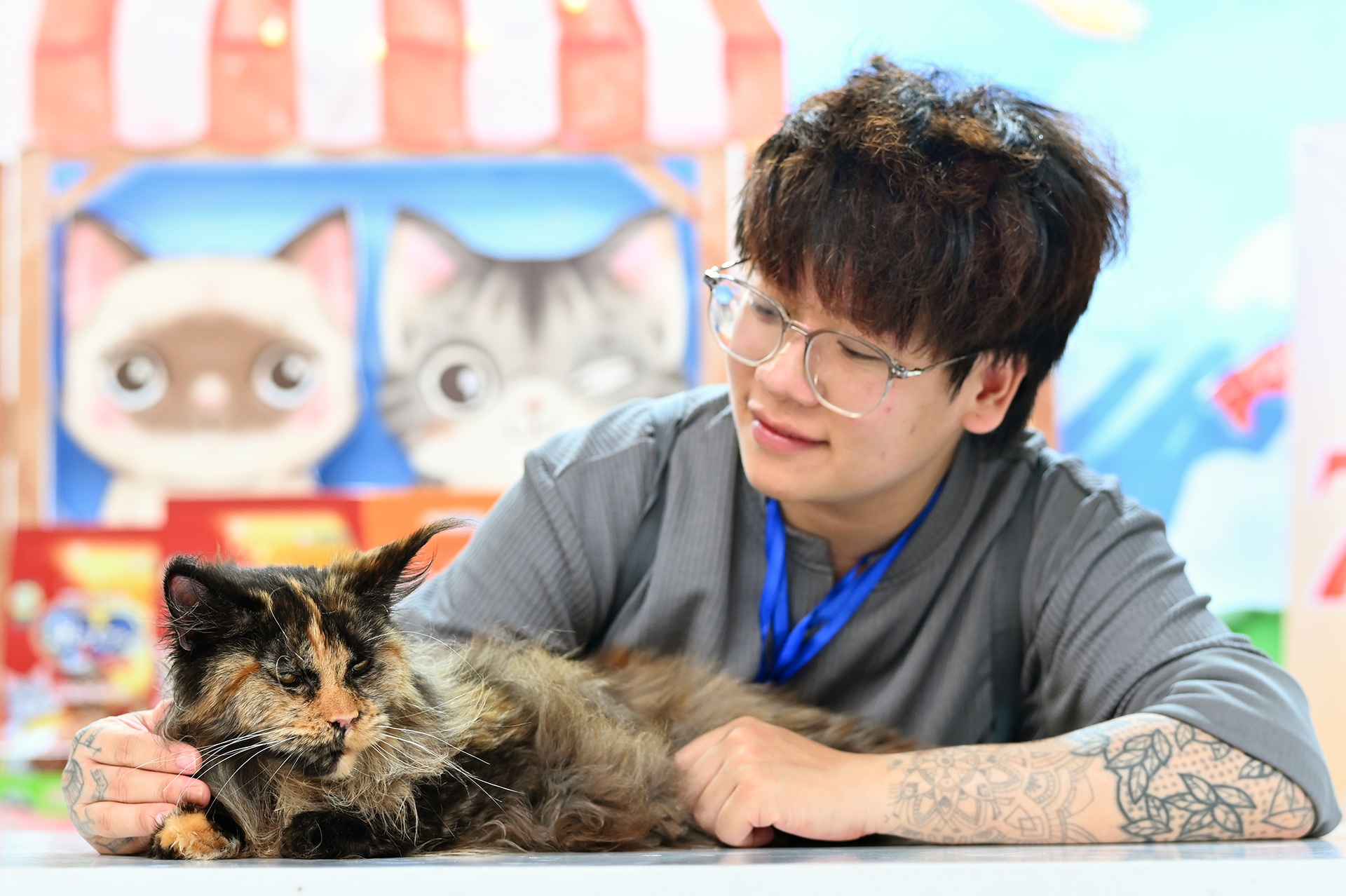 Thi sac dep cho meo anh 10