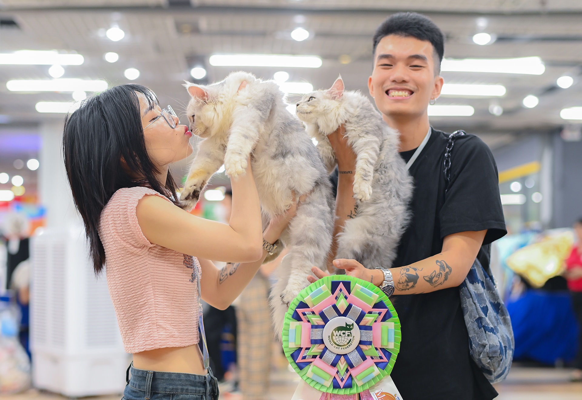 Thi sac dep cho meo anh 7