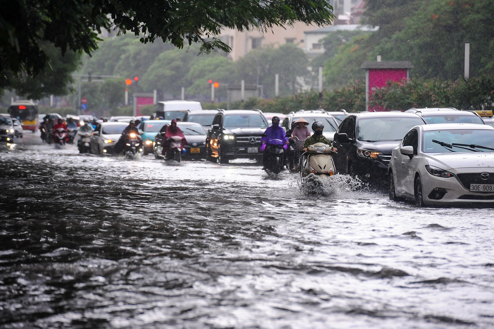 Mua ngap o Ha Noi anh 1