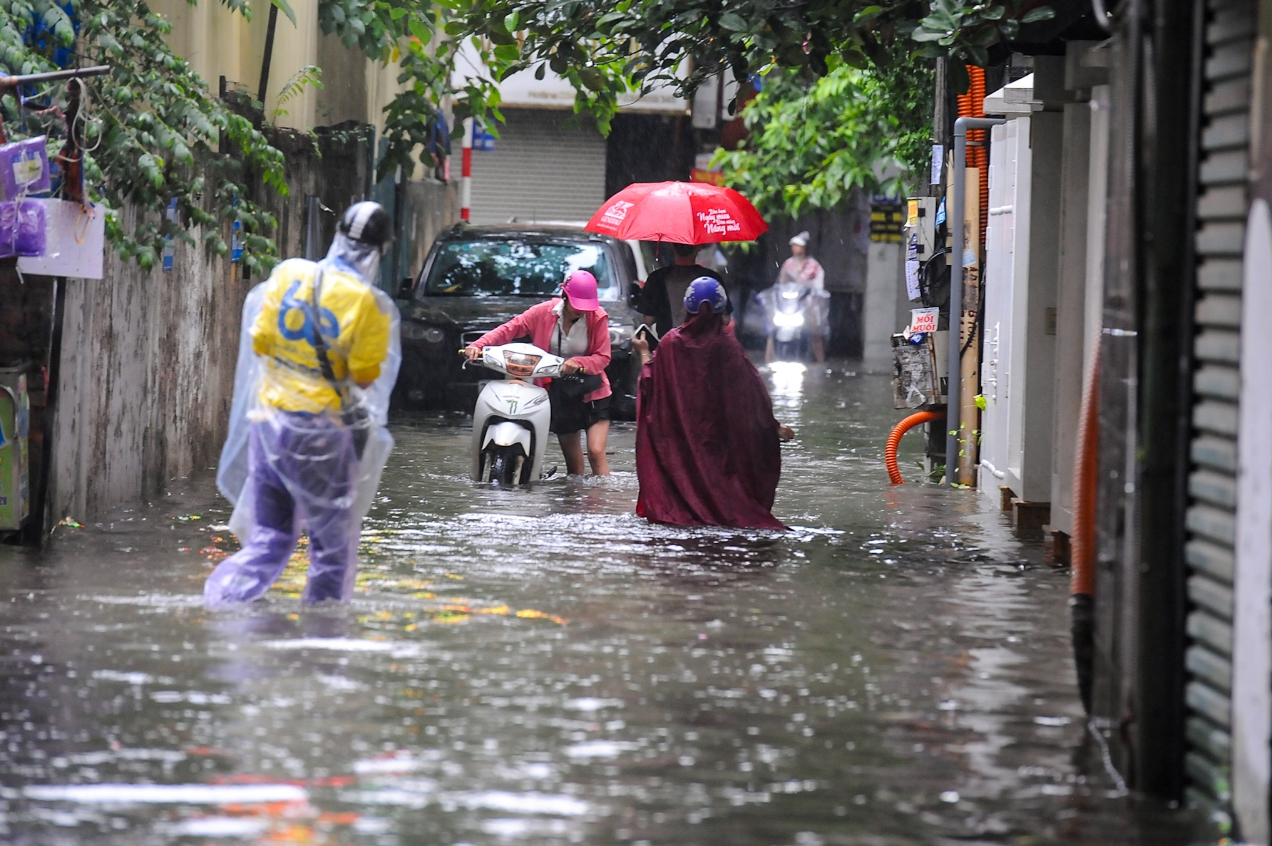 Mua ngap o Ha Noi anh 4