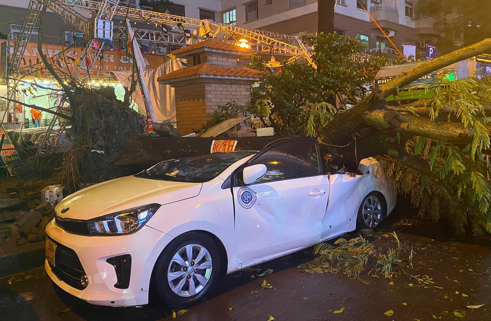 Mua giong quat do anh 1