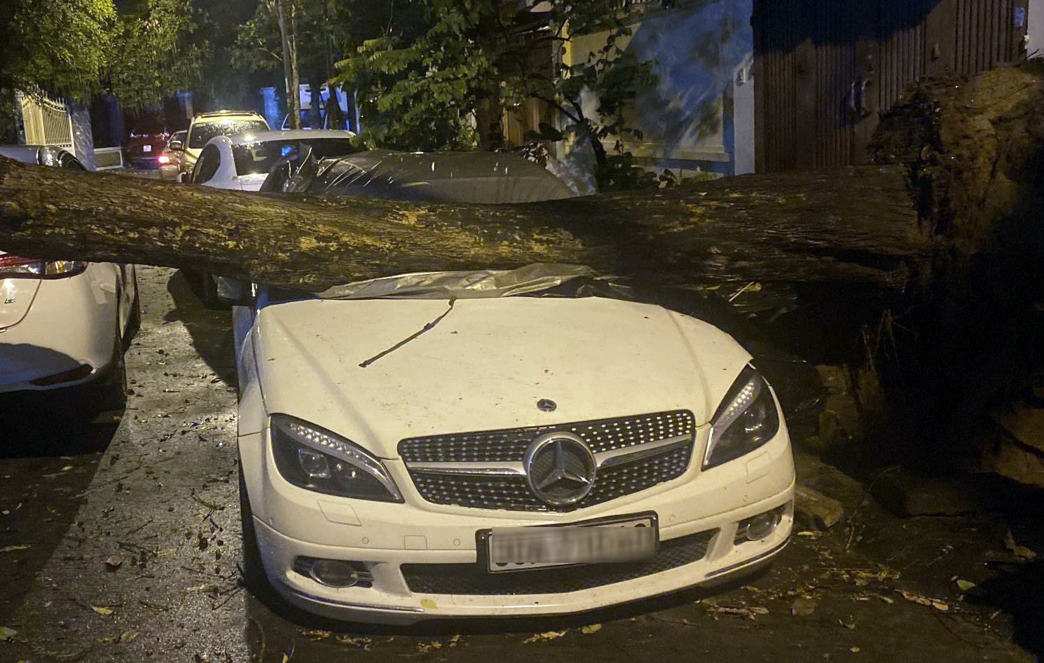 Mua giong quat do anh 2