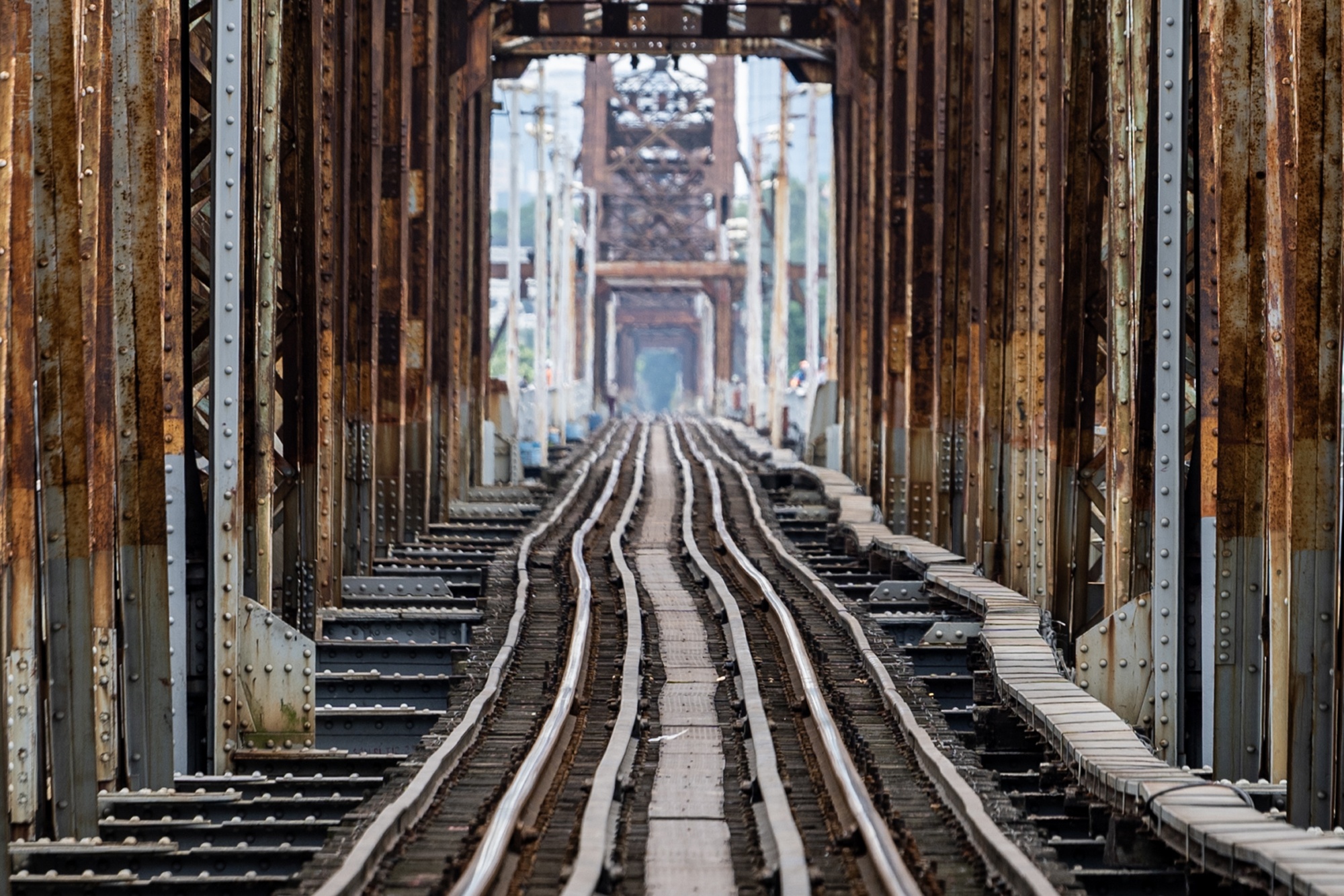 Duong ray tau hoa bien dang tren cay cau tram tuoi o Ha Noi hinh anh