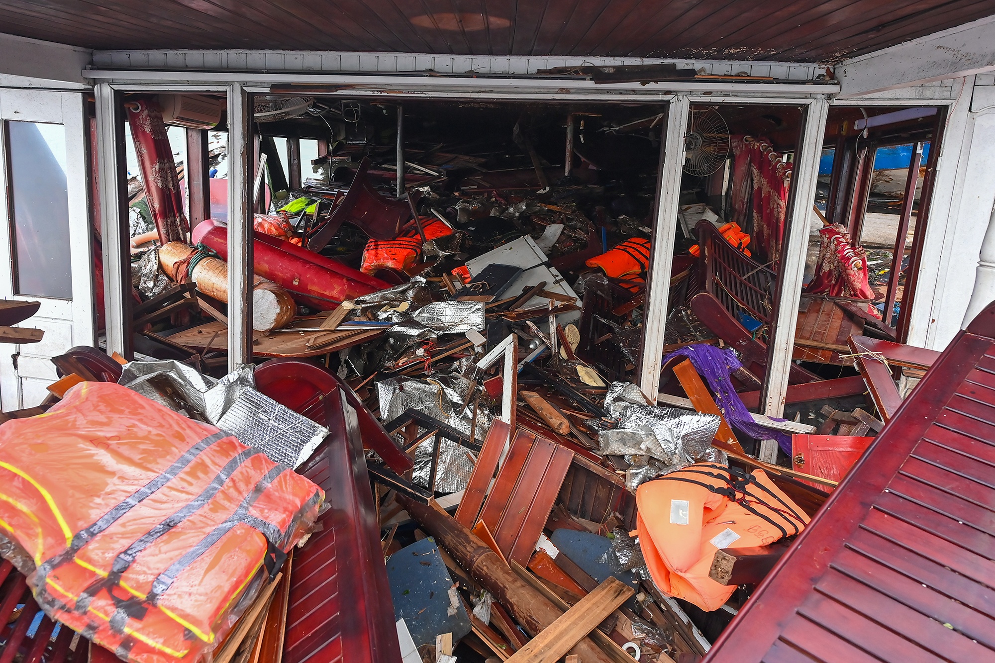 Chim tau Ha Long anh 4