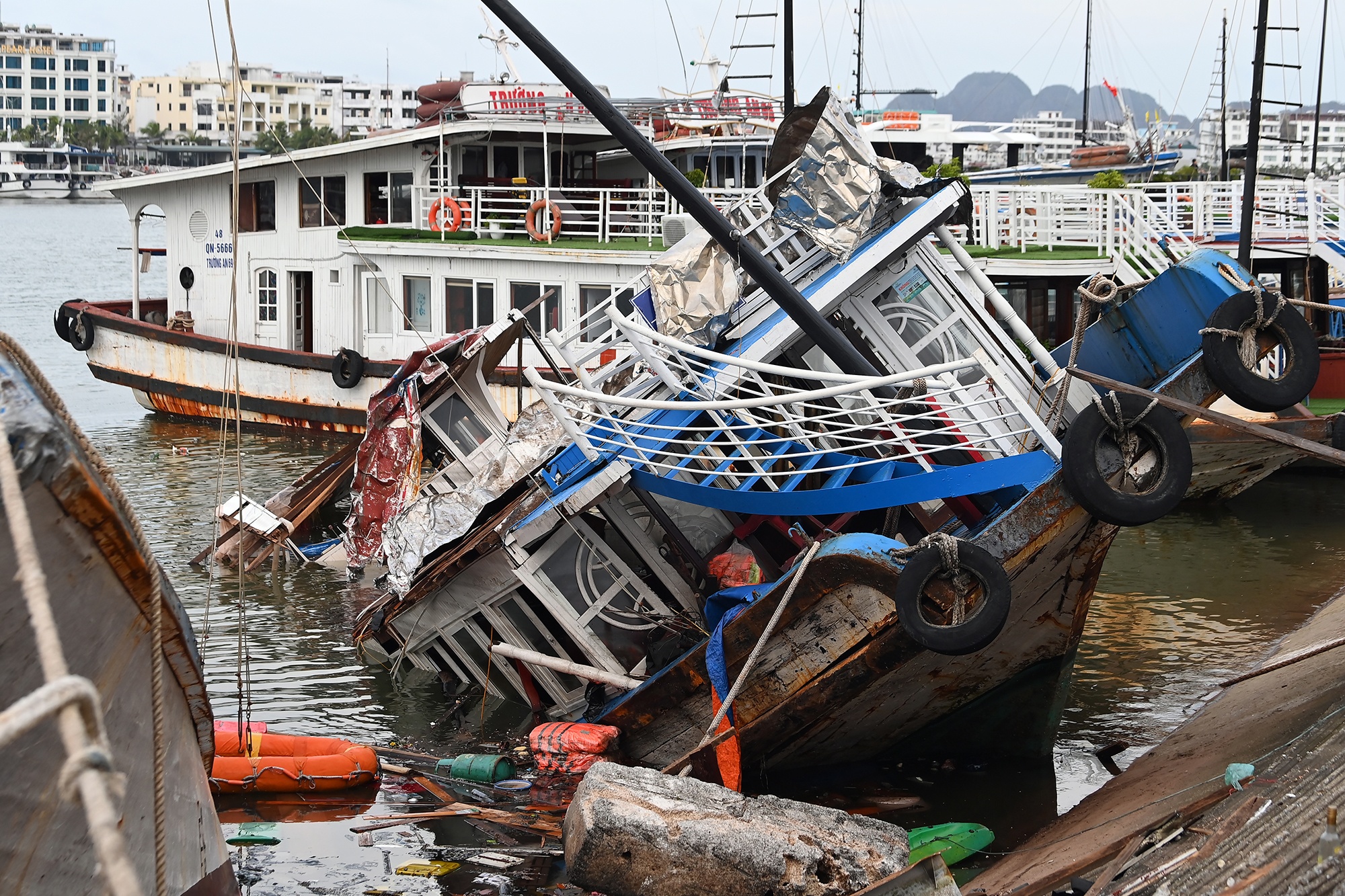 Chim tau Ha Long anh 8