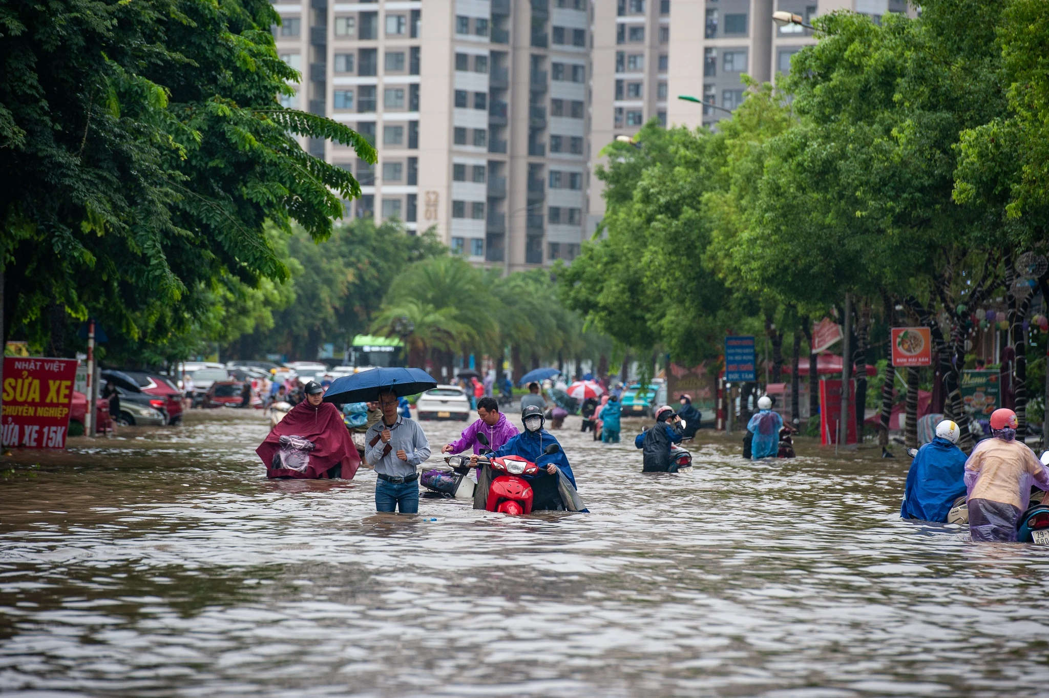 Rung chung cu Ha Noi anh 17