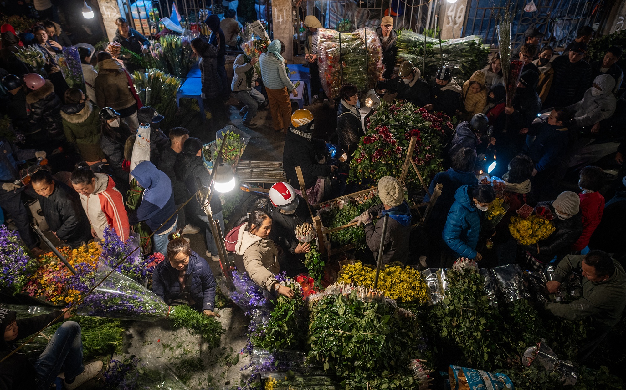 Hoa dao Nhat Tan anh 2