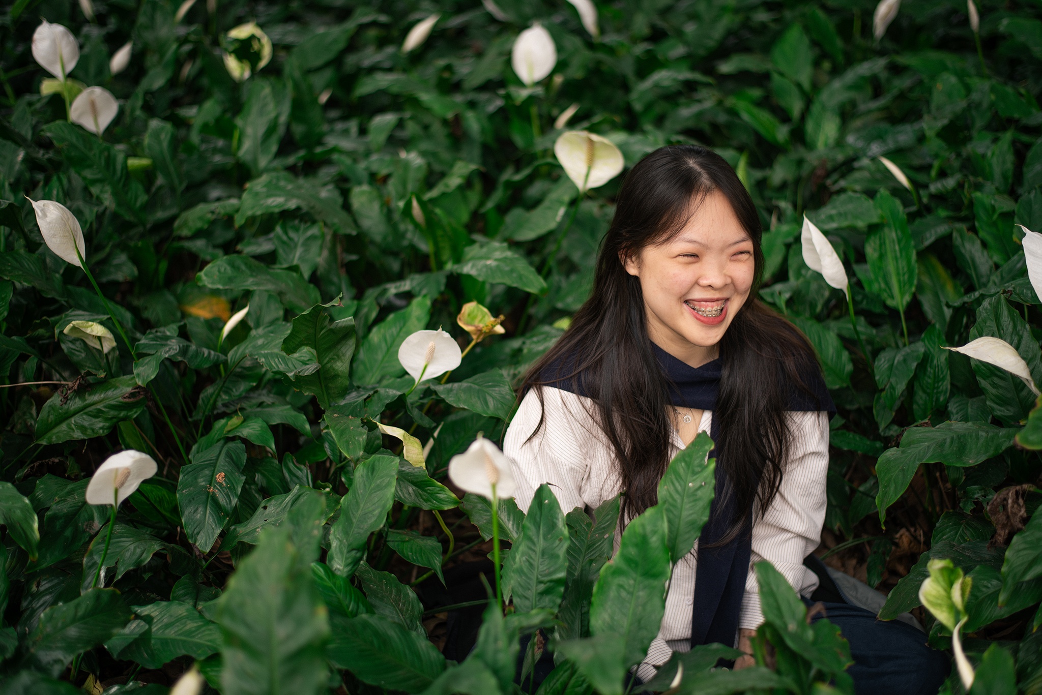 Uoc mo lam bac si cua co gai mac can benh khong the chua khoi hinh anh