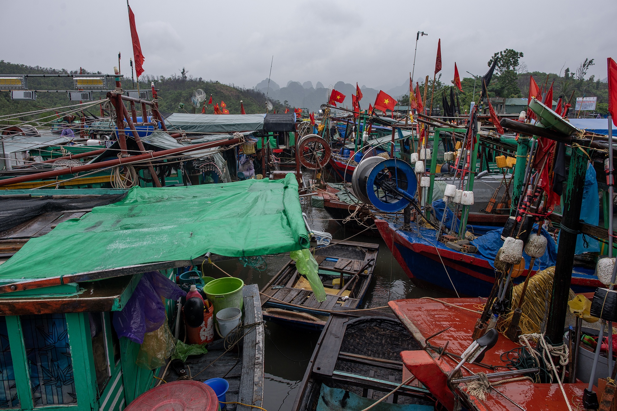 Bao so 3 WIPHA anh 10