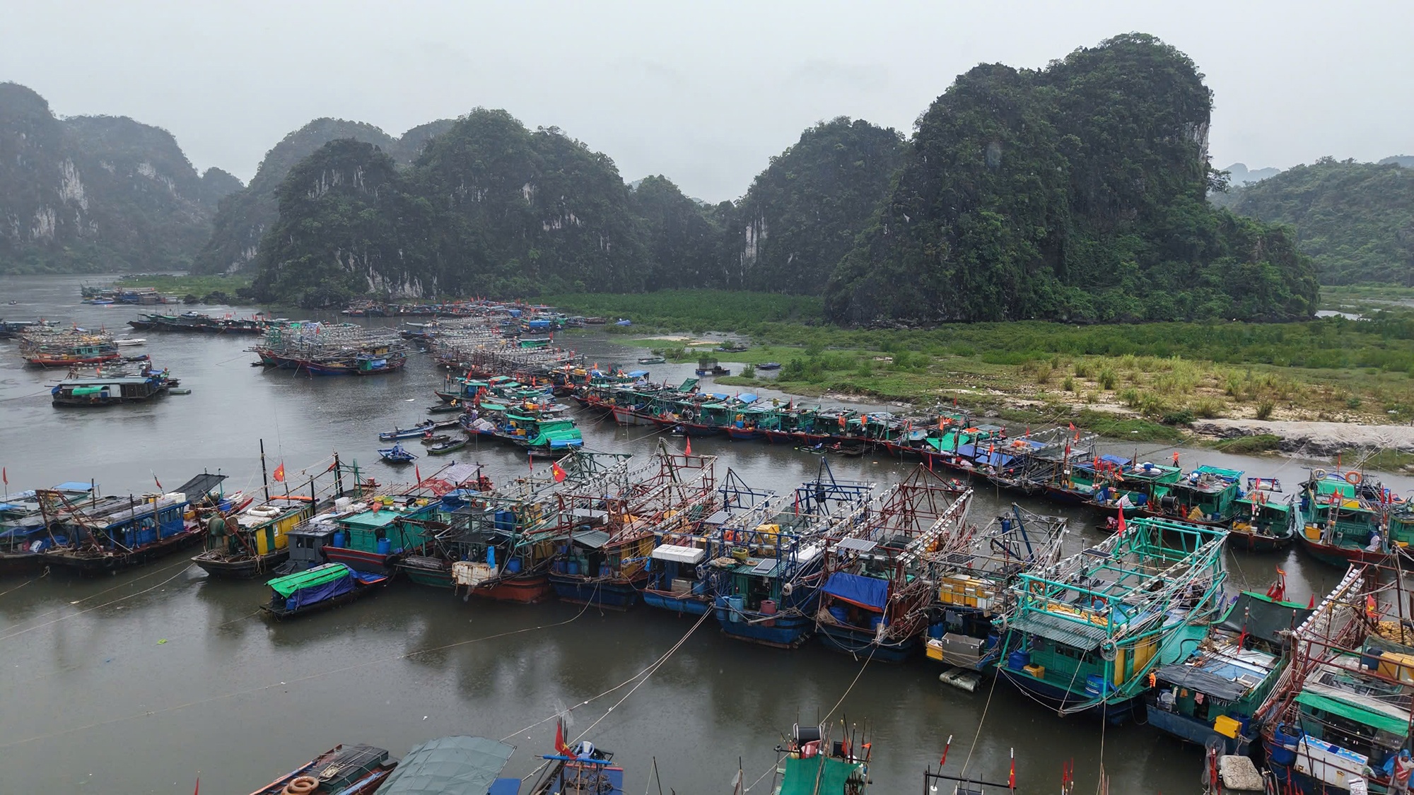 Bao so 3 WIPHA anh 11