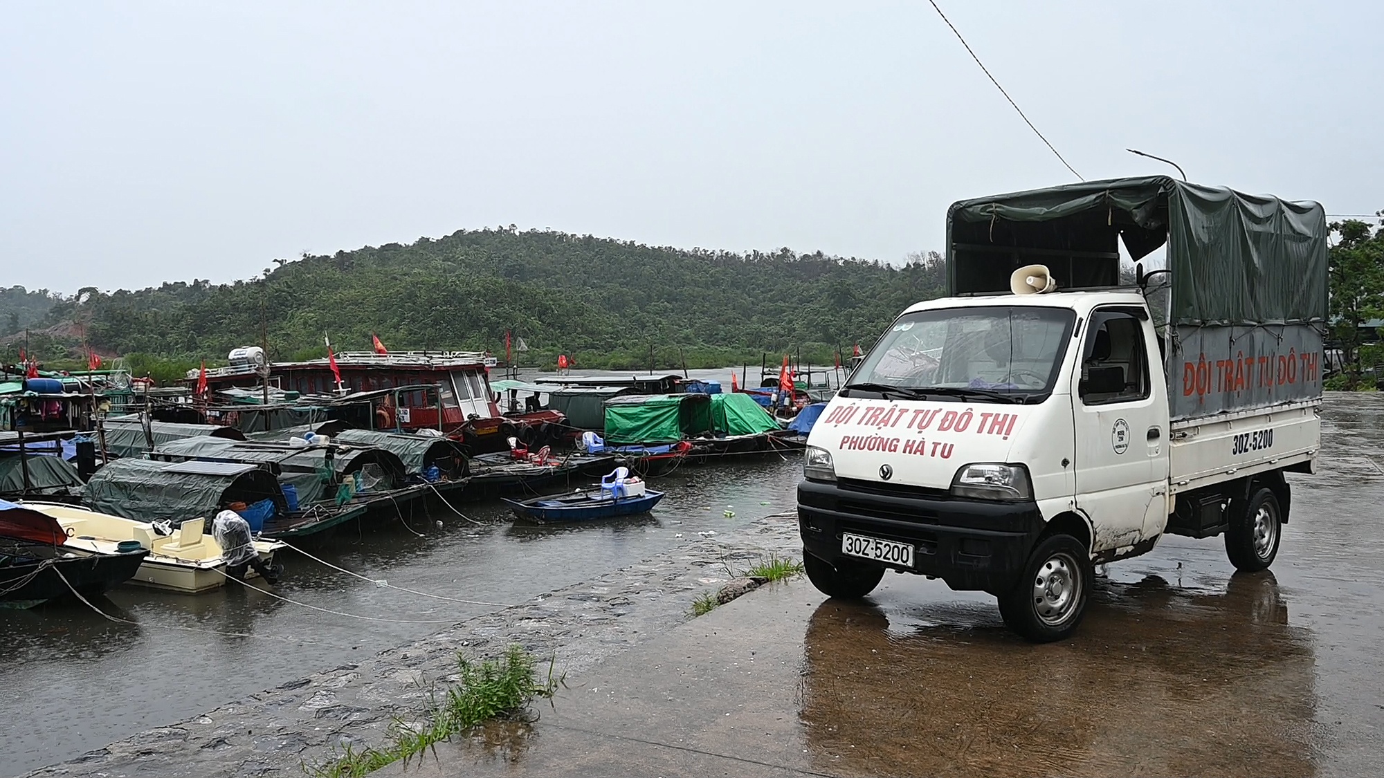 Bao so 3 WIPHA anh 3