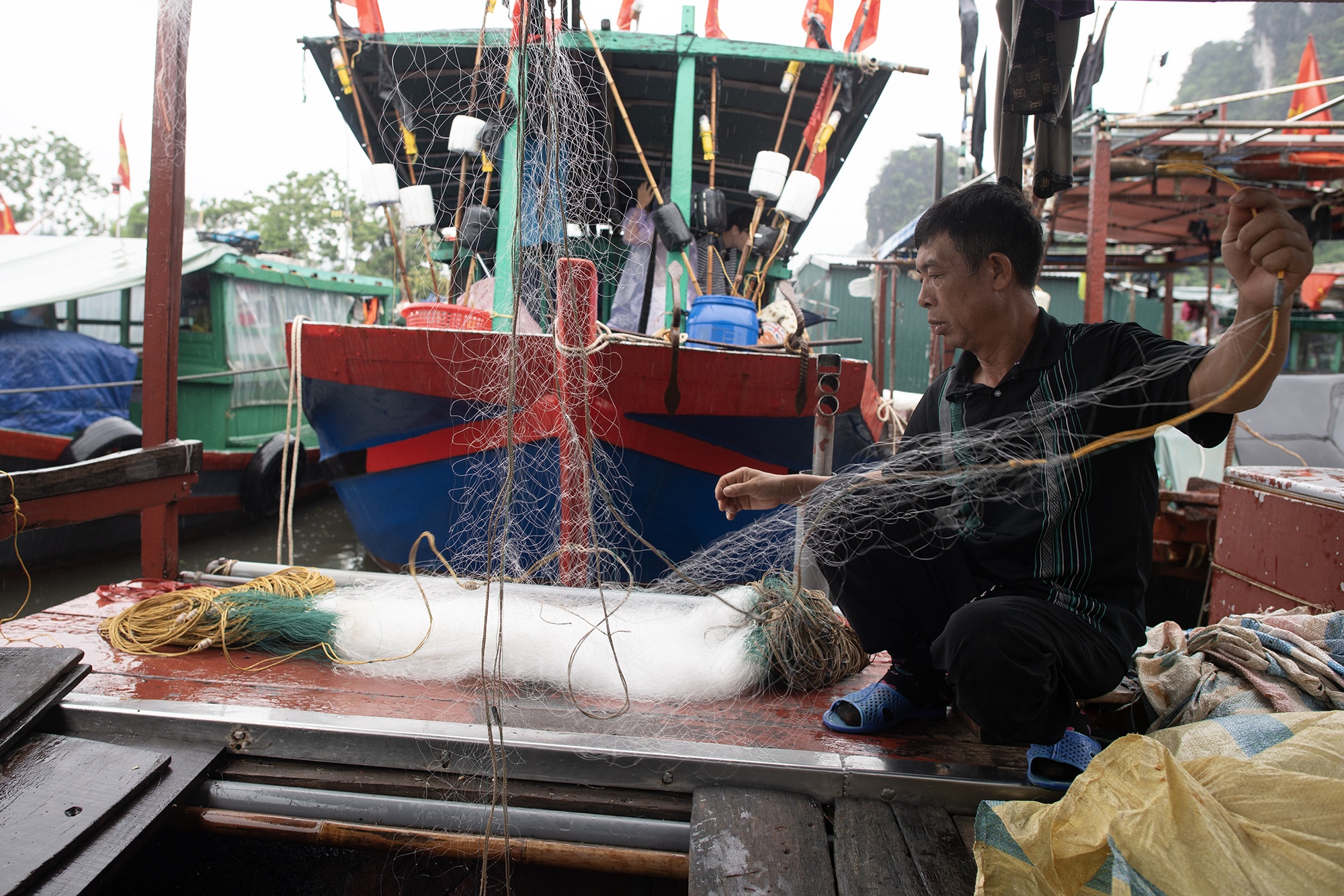 tranh bao o quang ninh anh 2