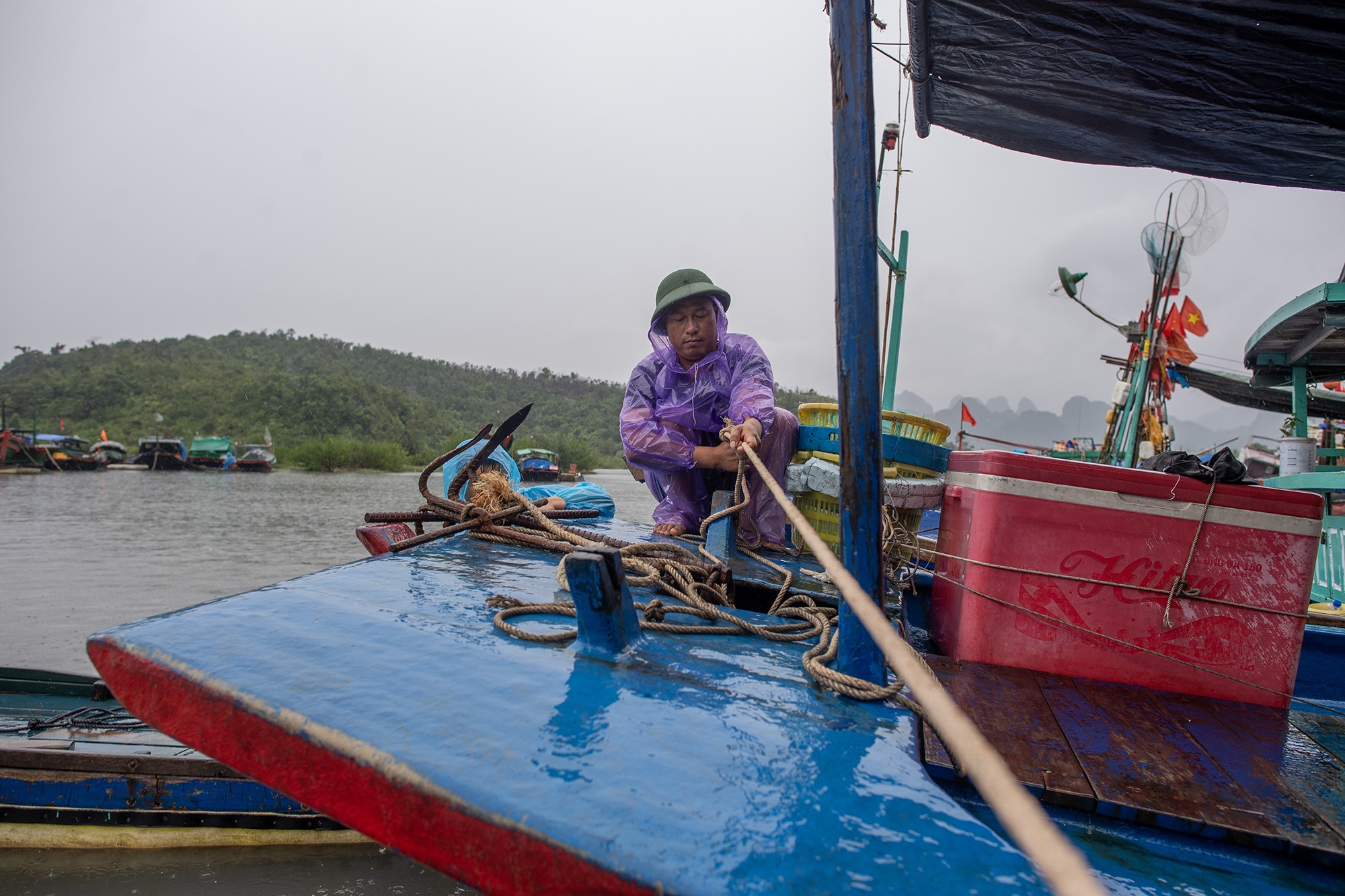 Bao so 3 WIPHA anh 6