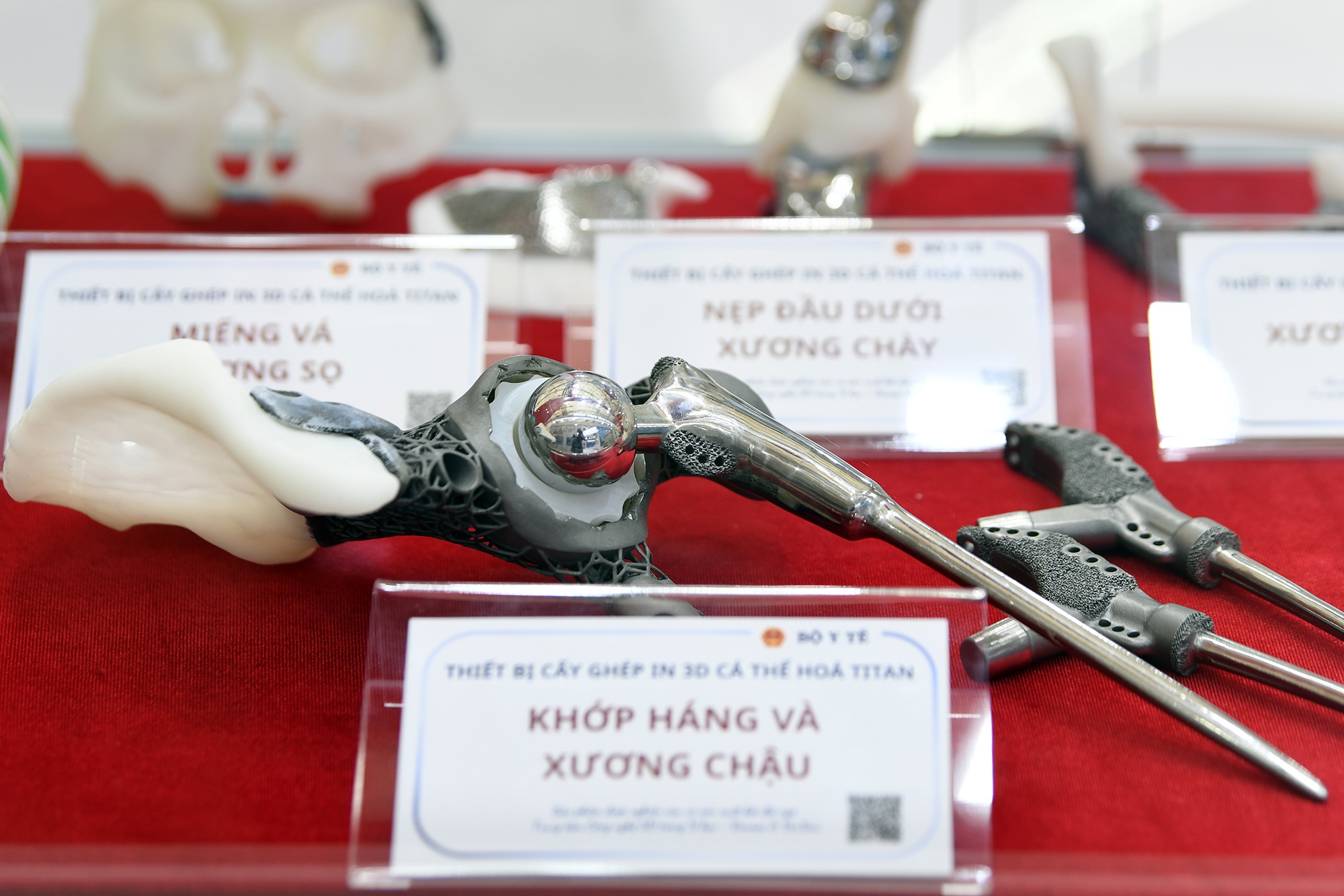 Trien lam 80 nam anh 8