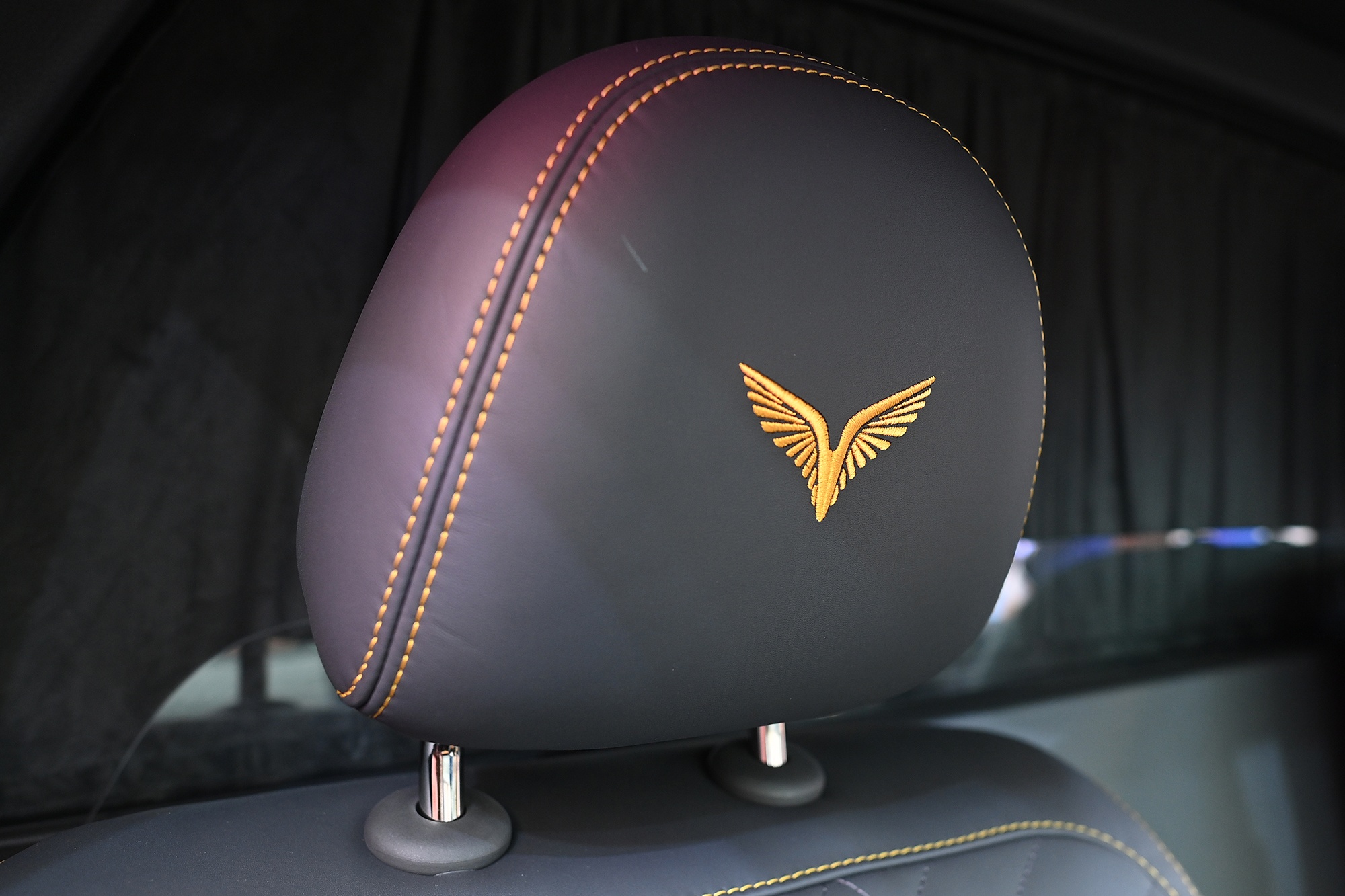 VinFast Lac Hong 900 LX anh 14