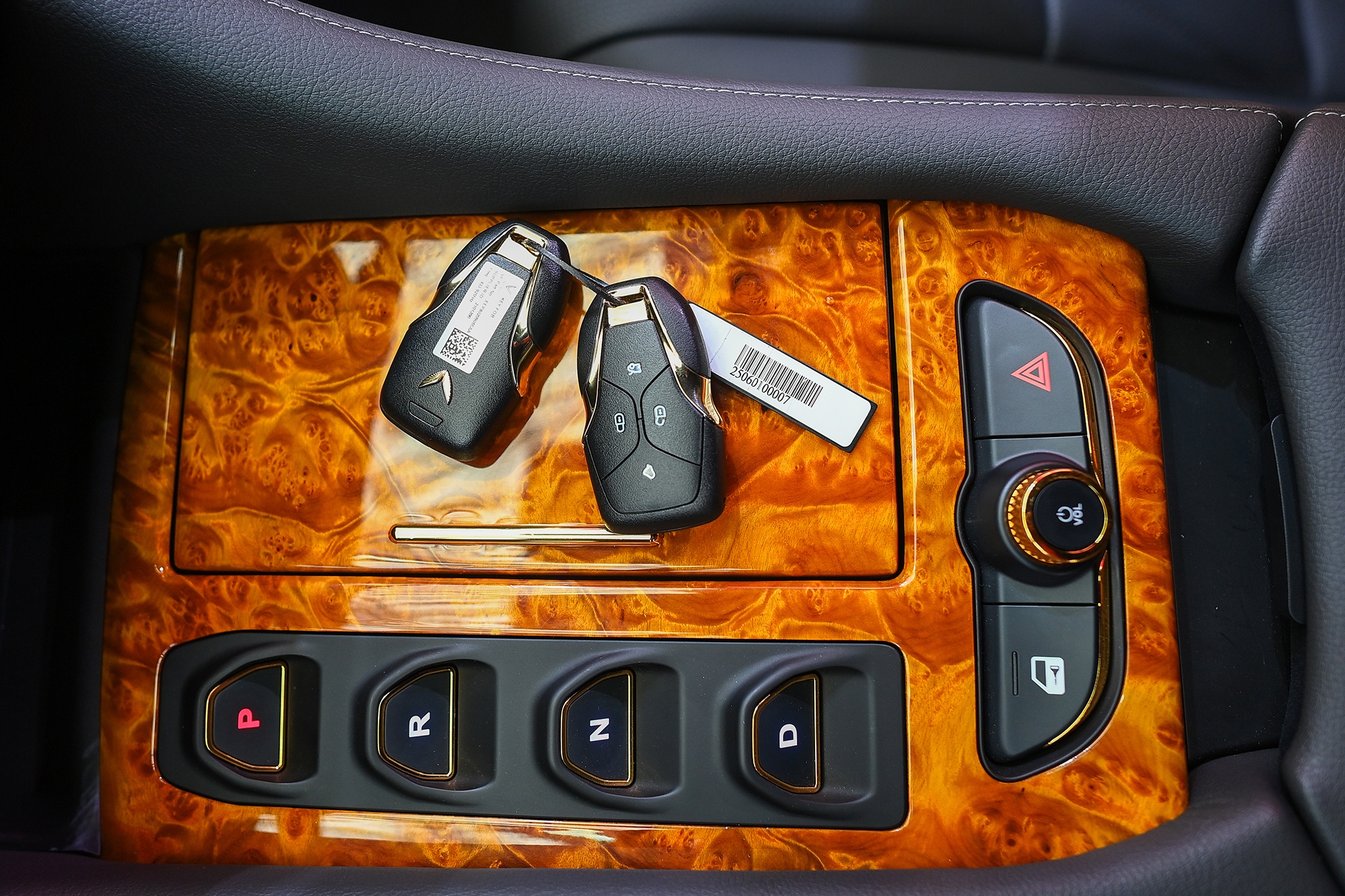 VinFast Lac Hong 900 LX anh 10