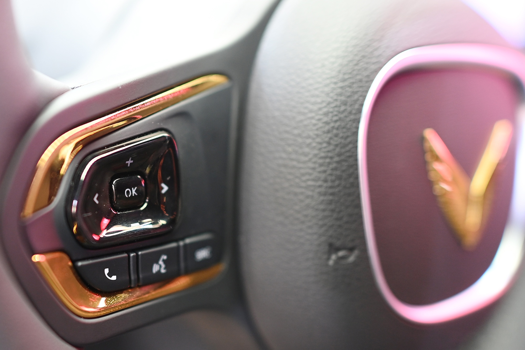 VinFast Lac Hong 900 LX anh 7