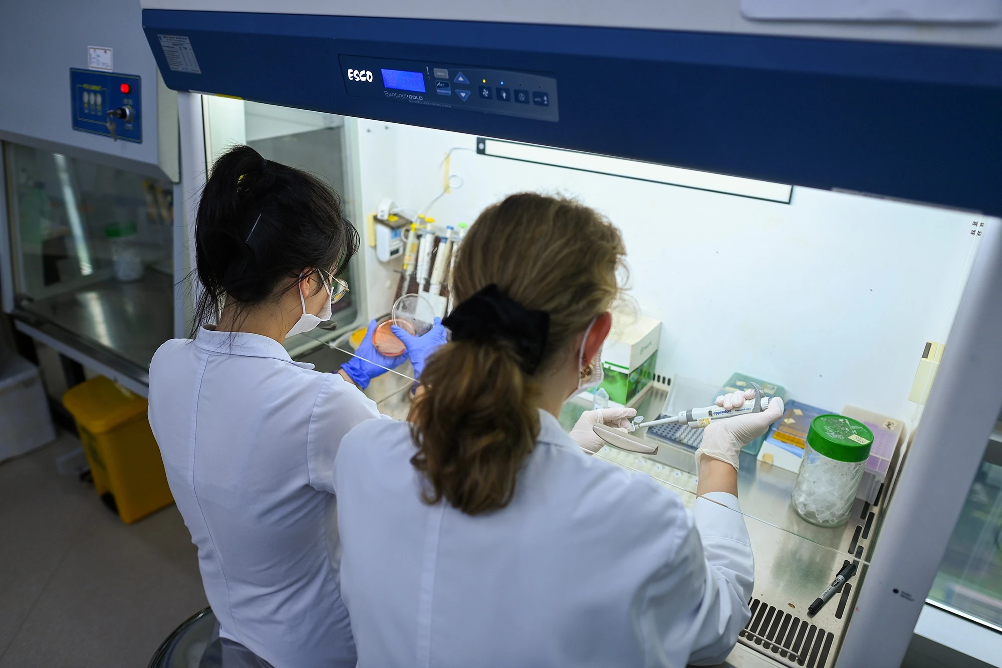 Khoa truyen nhiem vien 108 anh 27