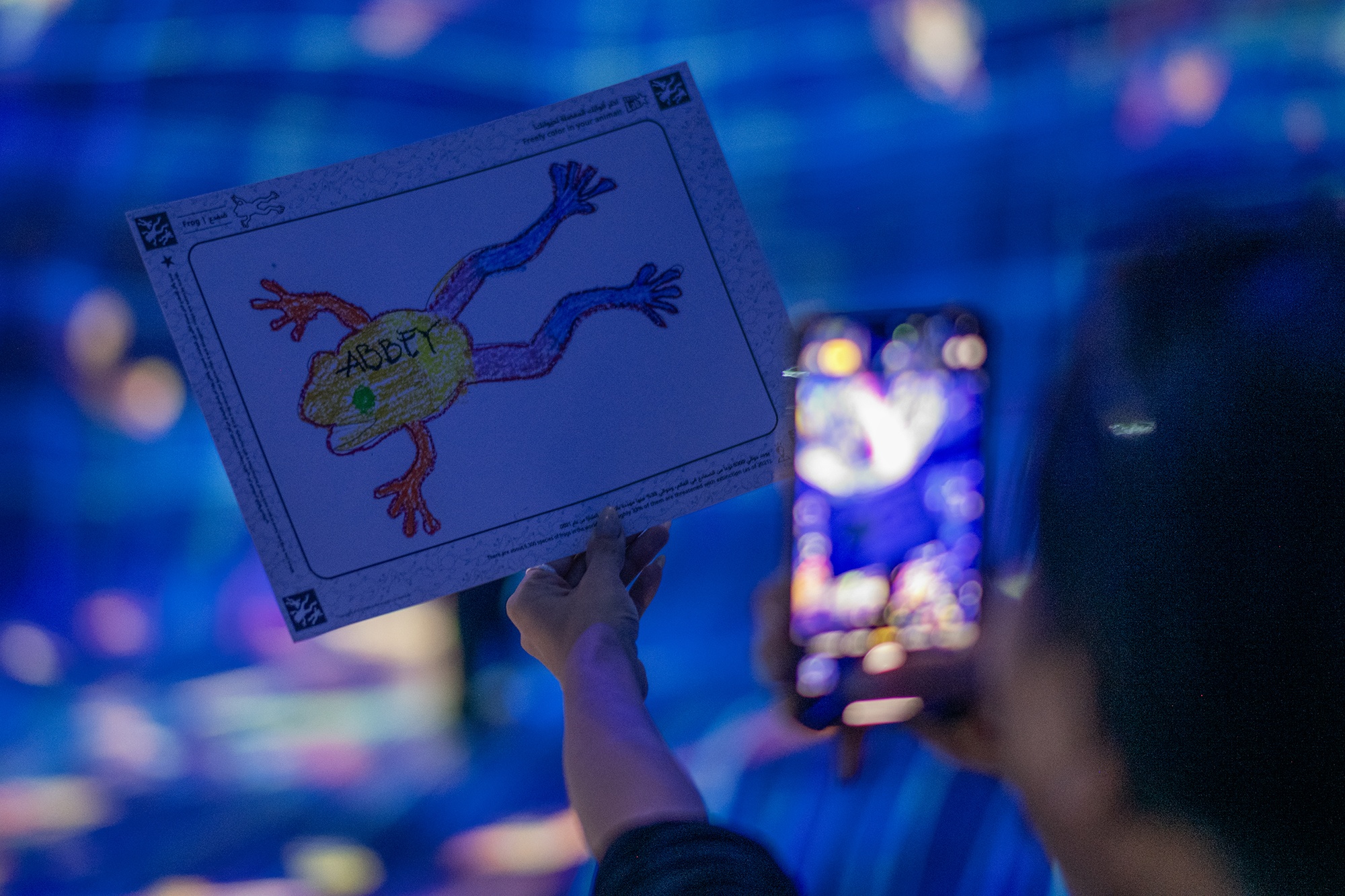 Photo 28 d'Abu Dhabi Abu Dhabi anh 28