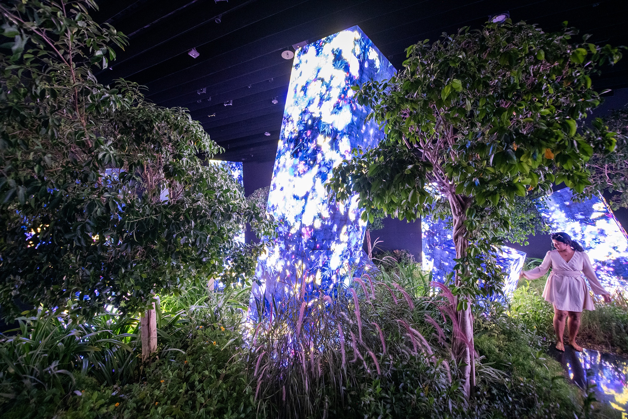 Photo 25 d'Abu Dhabi Abu Dhabi anh 25