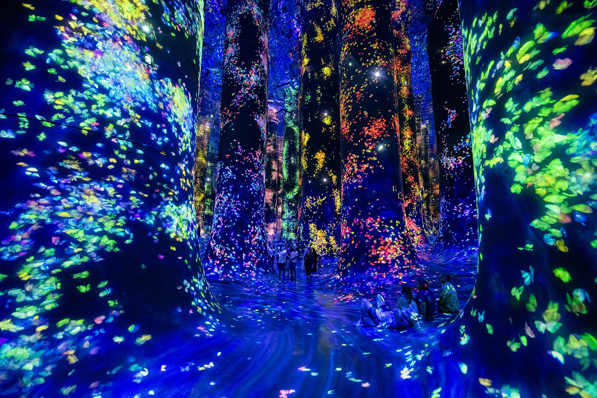 Photo 20 d'Abu Dhabi Abu Dhabi anh 20