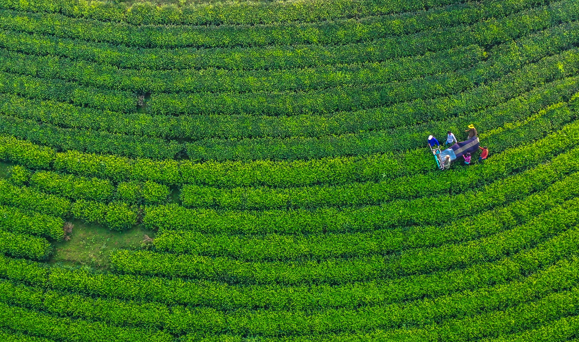 صورة فو ثو 9 Phu Tho anh 9