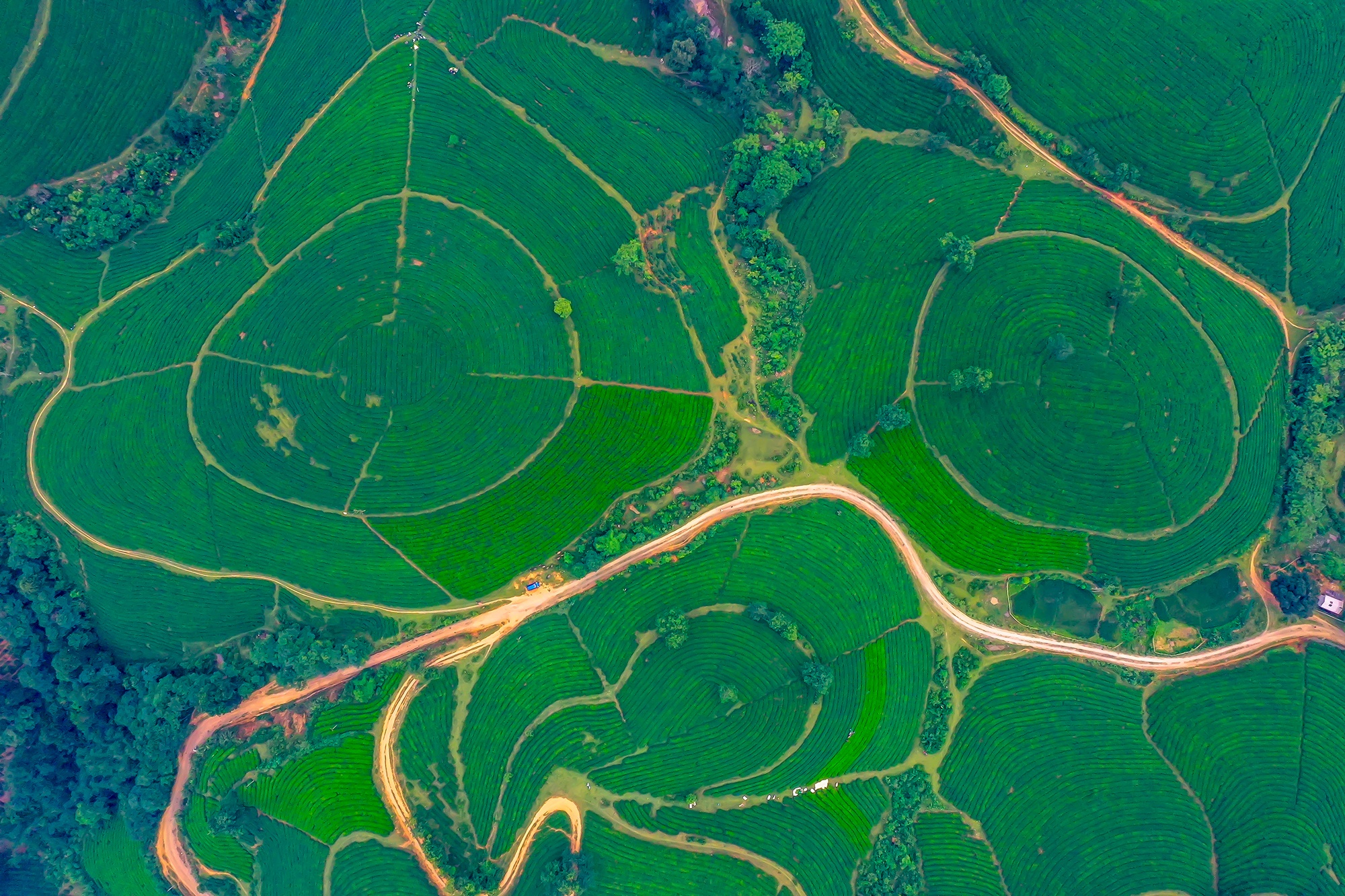 صورة فو ثو 4 Phu Tho anh 4