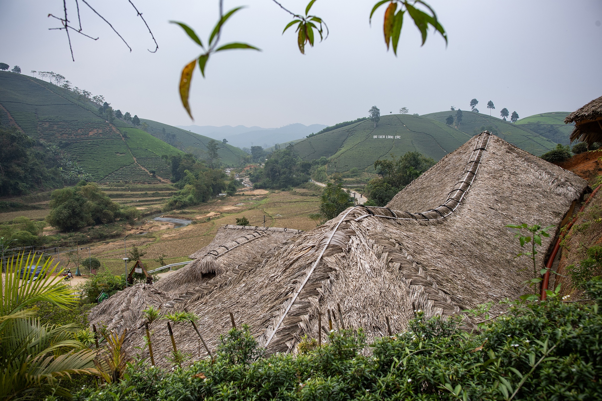 صورة فو ثو 6 Phu Tho anh 6