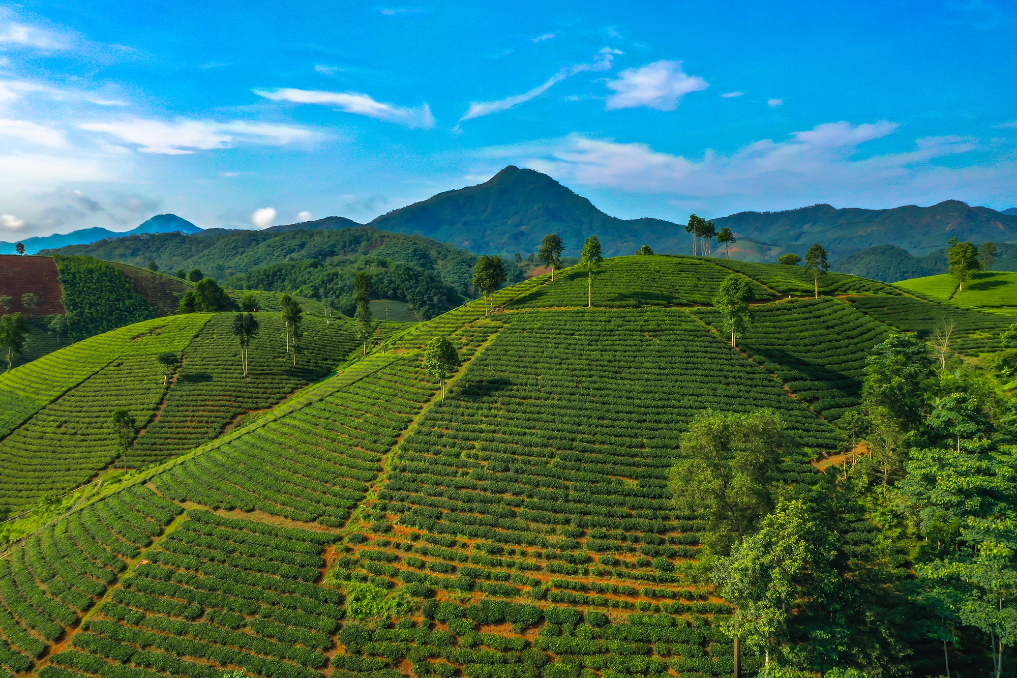 صورة فو ثو 1 Phu Tho anh 1