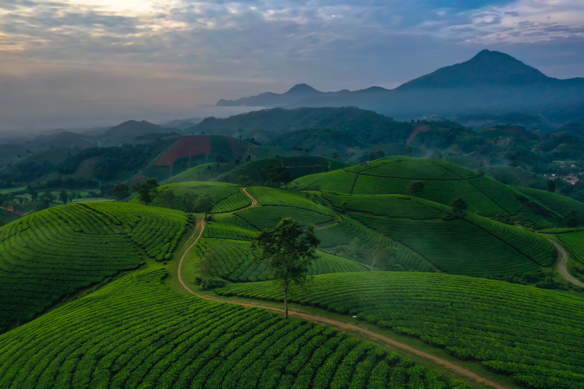 صورة فو ثو 2 Phu Tho anh 2