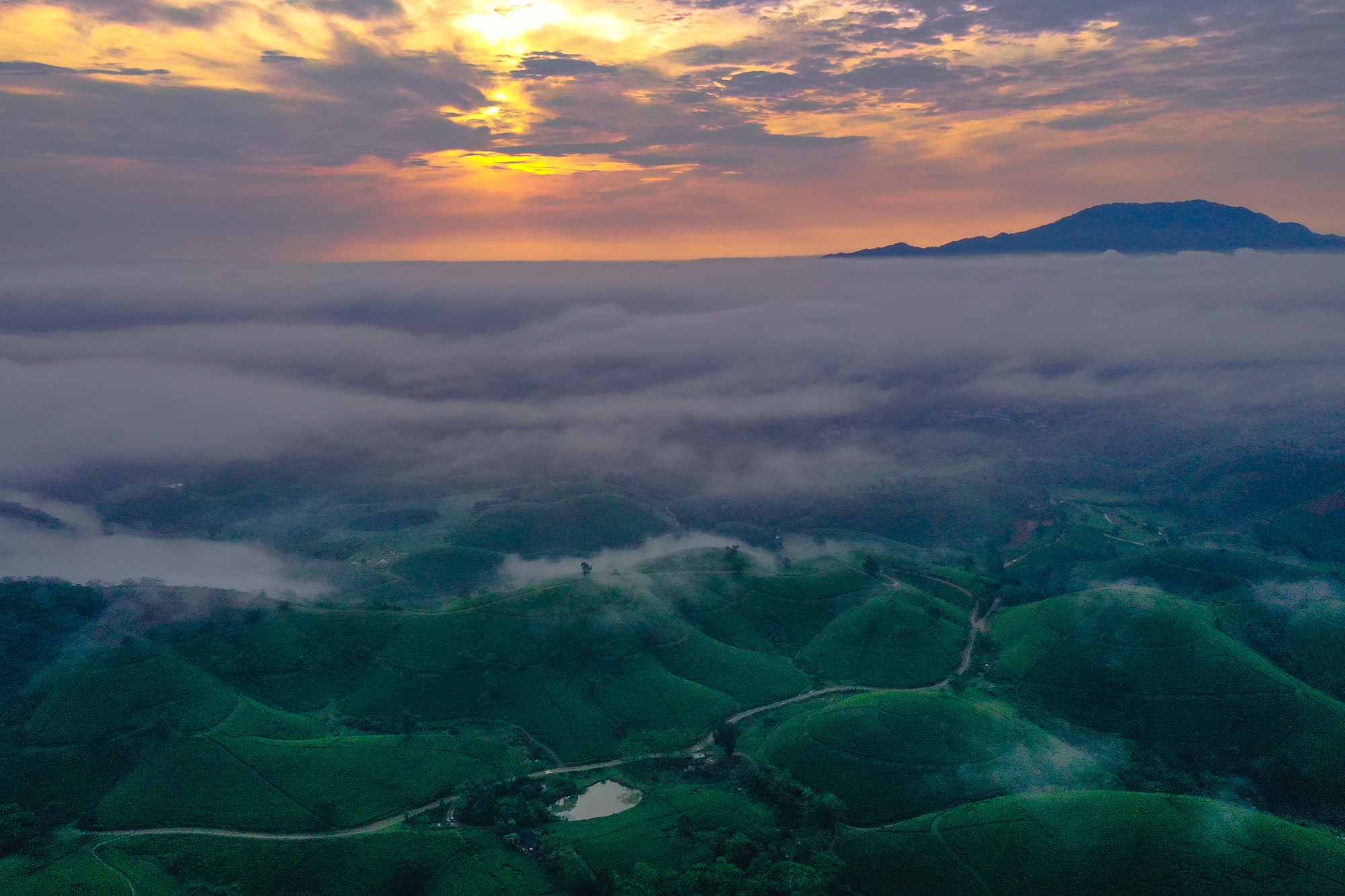 صورة فو ثو 3 Phu Tho anh 3