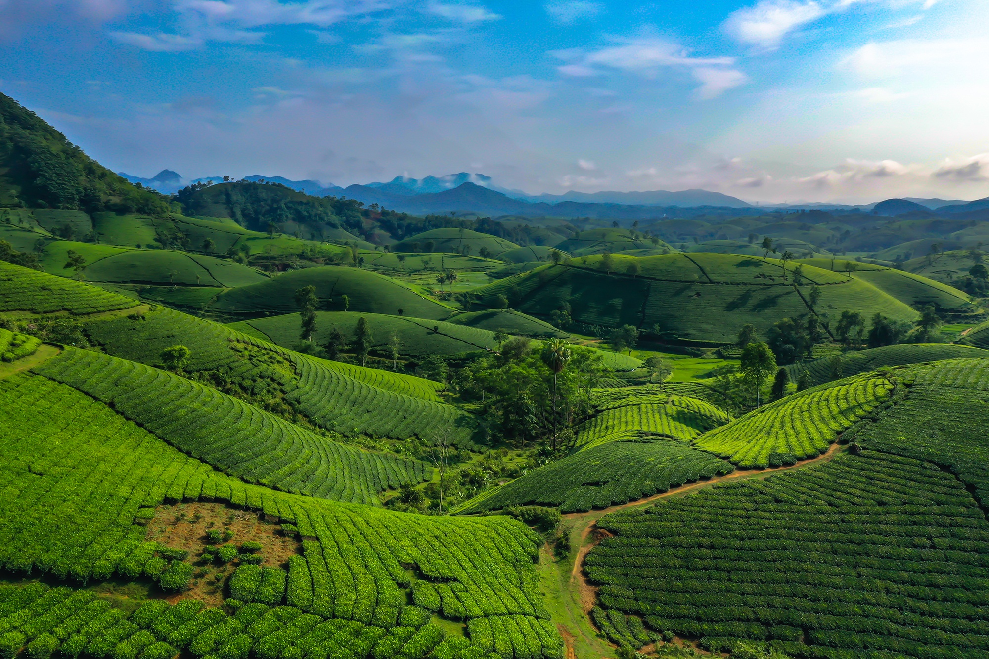 صورة فو ثو 7 Phu Tho anh 7