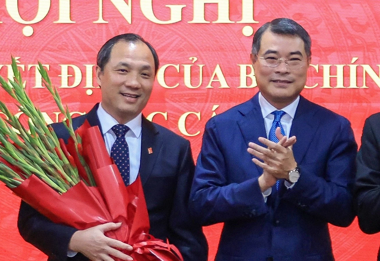 Ong Hoang Trung Dung lam Pho truong ban To chuc Trung uong hinh anh