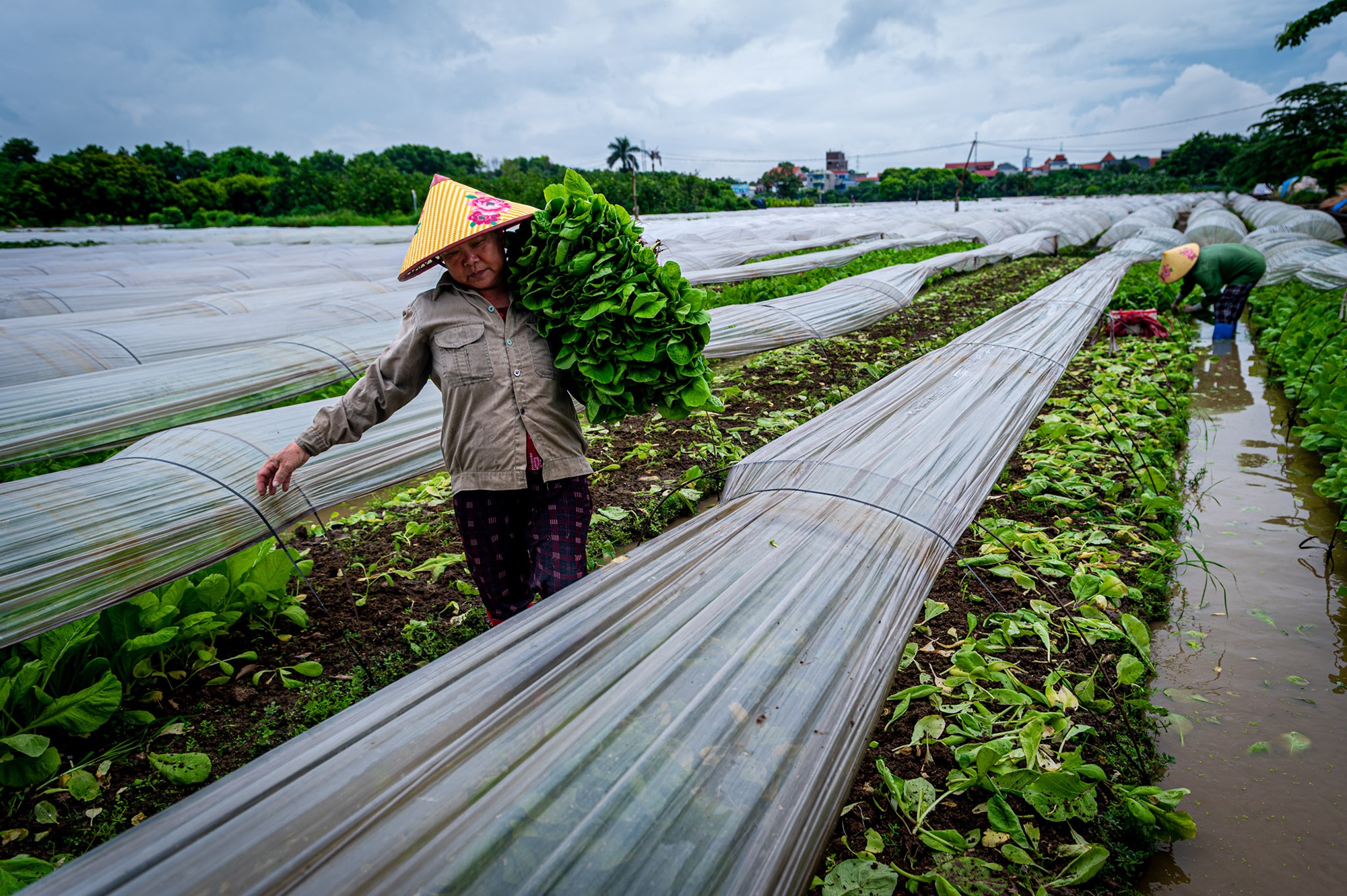 X&atilde; X&atilde; Hội Chủ nghĩa ảnh 19