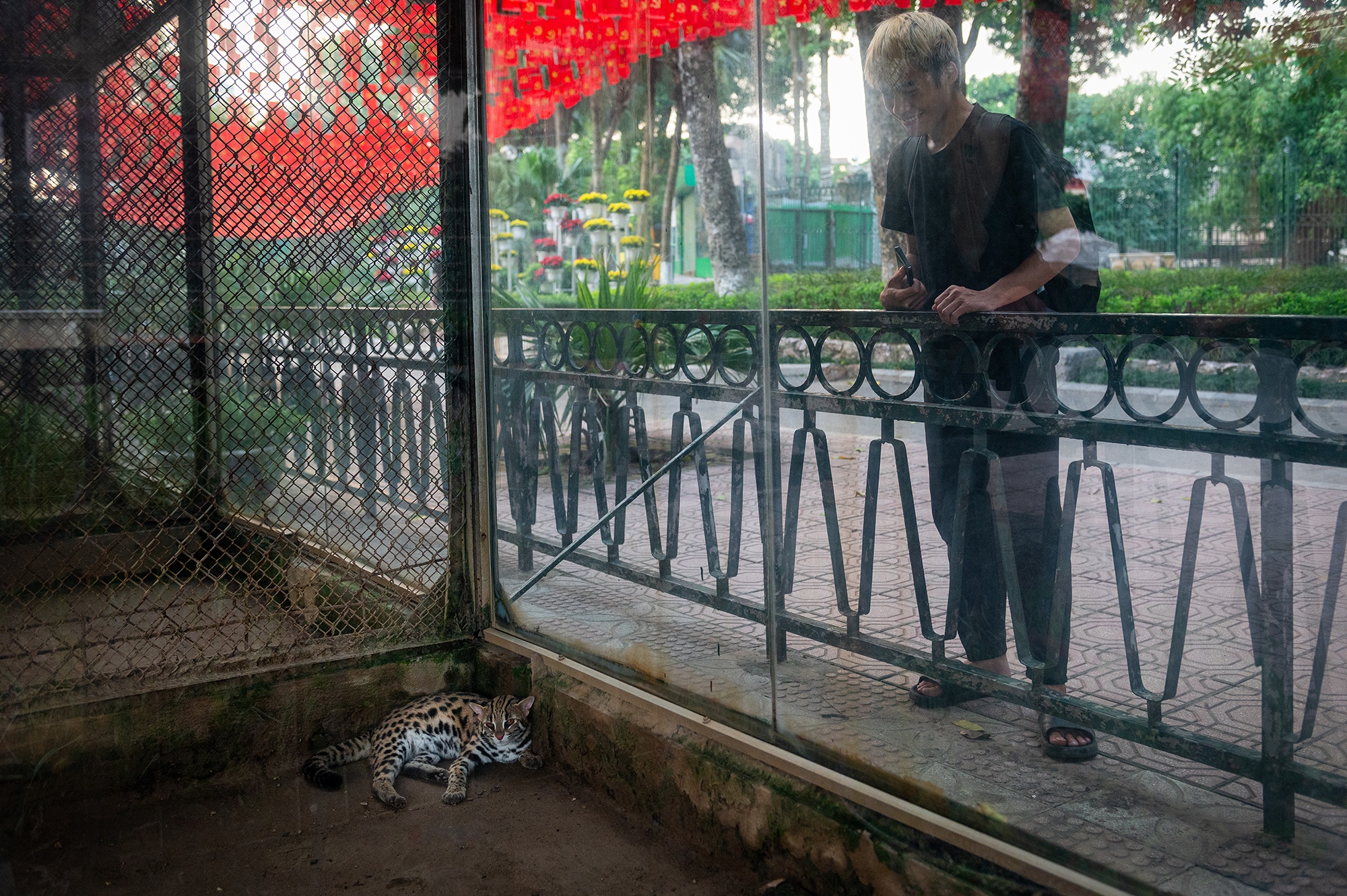 C&ocirc;ng vi&ecirc;n Thủ Lệ  ảnh 11