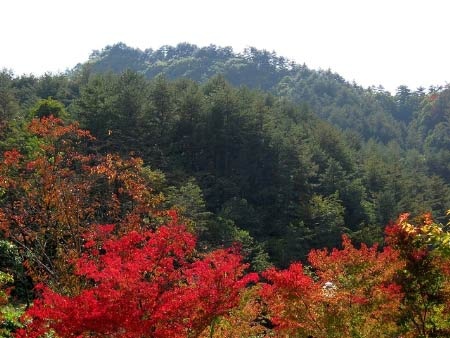 Đắm mình vào thiên sắc mùa thu xứ Hàn, Du lịch, han quoc, mua thu, thu xu han, dia danh dep, du lich, du lich the gioi, canh dep, phong canh dep, anh thien nhien, anh phong canh, wallpaper, hinh anh dep, bao, tin tuc, hinh dep