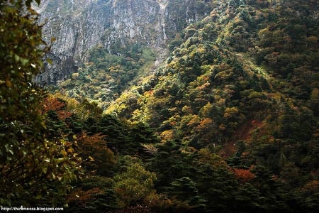 Đắm mình vào thiên sắc mùa thu xứ Hàn, Du lịch, han quoc, mua thu, thu xu han, dia danh dep, du lich, du lich the gioi, canh dep, phong canh dep, anh thien nhien, anh phong canh, wallpaper, hinh anh dep, bao, tin tuc, hinh dep