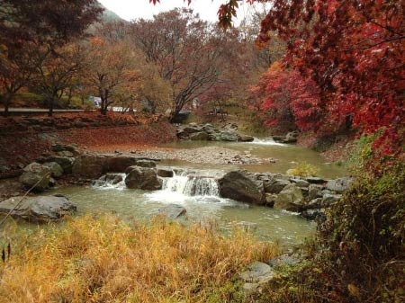 Đắm mình vào thiên sắc mùa thu xứ Hàn, Du lịch, han quoc, mua thu, thu xu han, dia danh dep, du lich, du lich the gioi, canh dep, phong canh dep, anh thien nhien, anh phong canh, wallpaper, hinh anh dep, bao, tin tuc, hinh dep