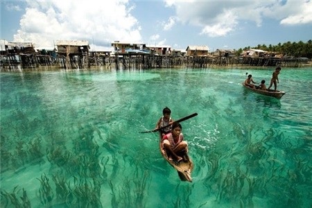 Du ngoan nhung vung bien ho trong vat nhu pha le hinh anh