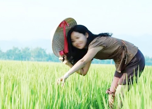 Gai que nhu toi an dut gai pho hinh anh