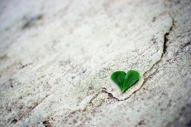 Chuyen co gai khong biet yeu hinh anh