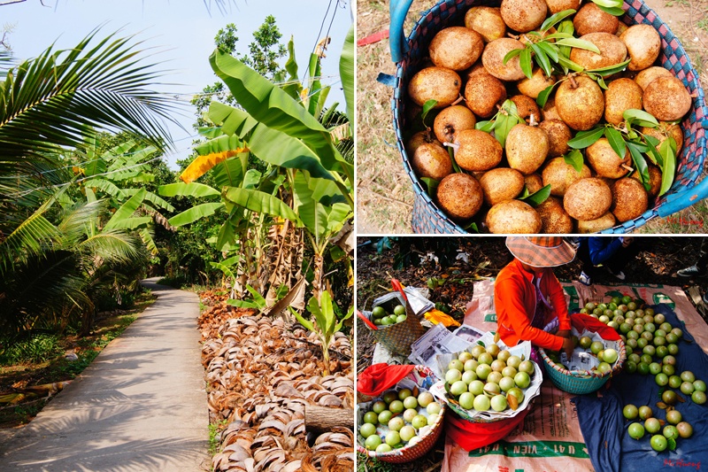 Ve mien Tay du xuan miet vuon hinh anh