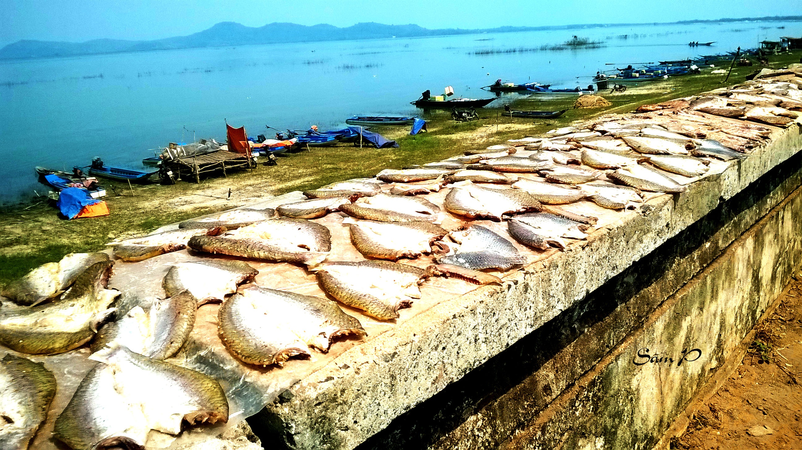 Den voi Tay Ninh mua nang chay hinh anh