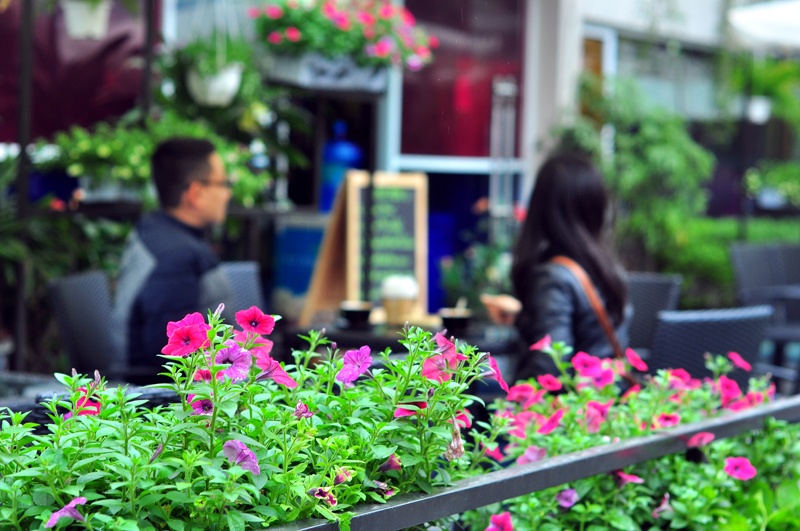 Quan ca phe ngap nang va hoa giua pho Ly Thuong Kiet hinh anh