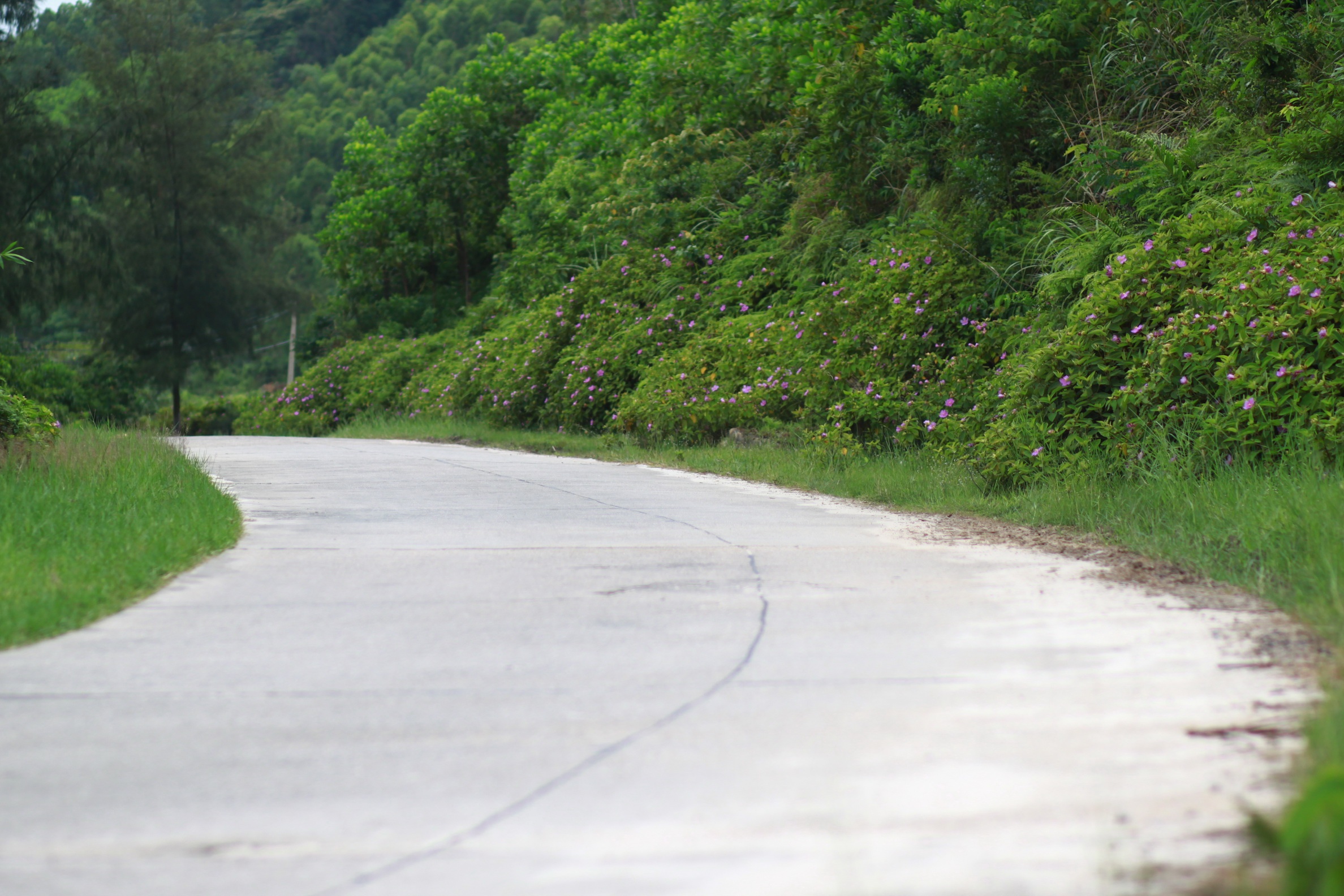 5.	Nối giữa 2 bãi biển, là những con đường mềm mại uốn lượn trên đảo. Không khí trên đảo rất trong lành, đi trên những con đường này, bạn chỉ cảm nhận được mùi gió biển và cái ráp ráp của muối biển đặc trưng trong không khí.